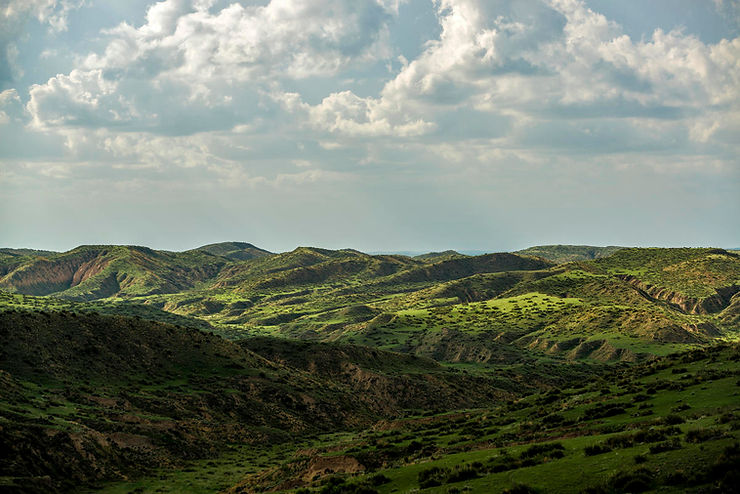 Profecia da Paz – Tradução